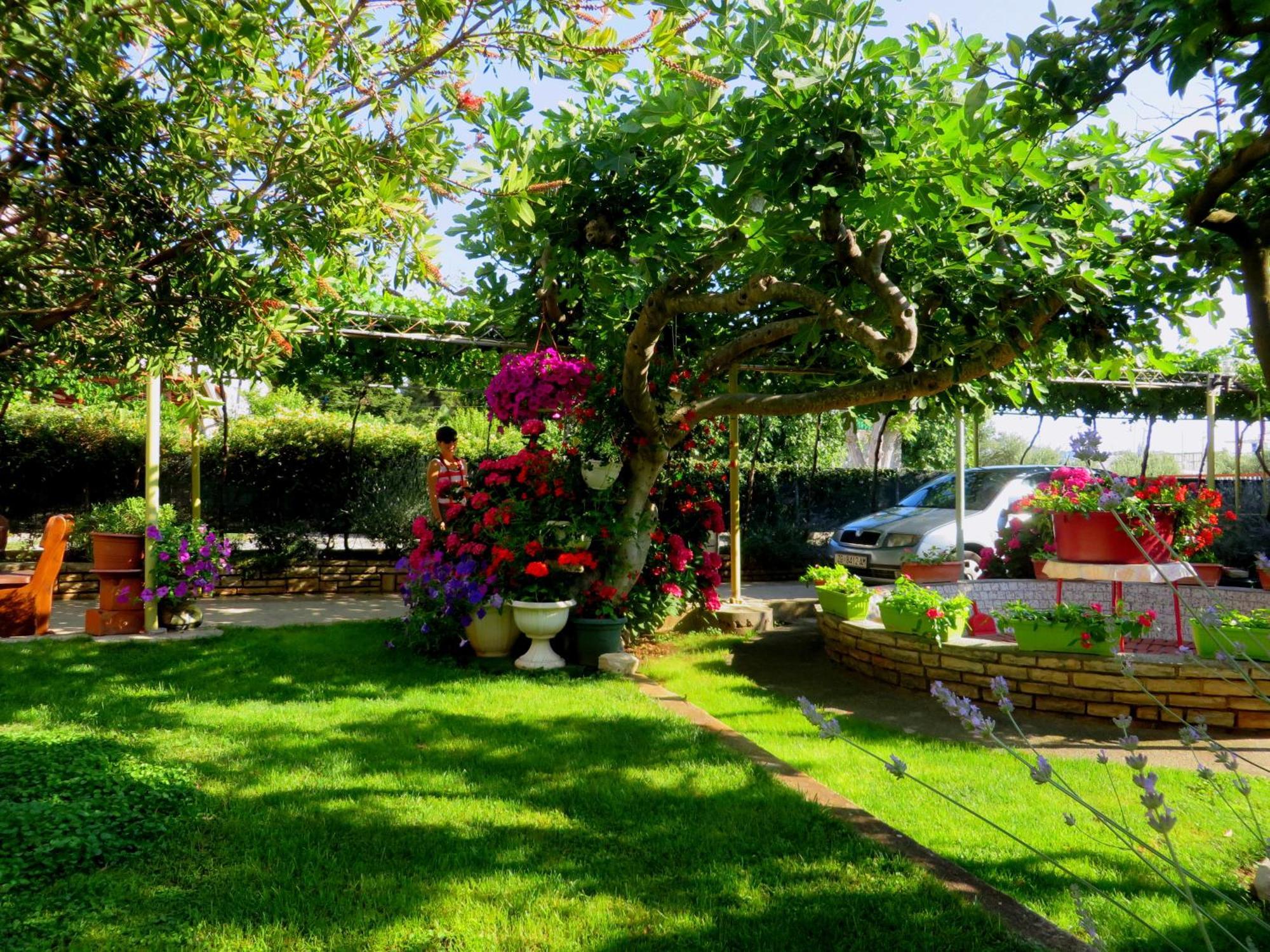 Beach Apartment Roza Biograd Oneroom - Premium Location Biograd Na Moru Buitenkant foto